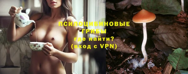 альфа пвп Горно-Алтайск