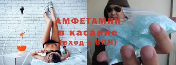 стаф Горняк