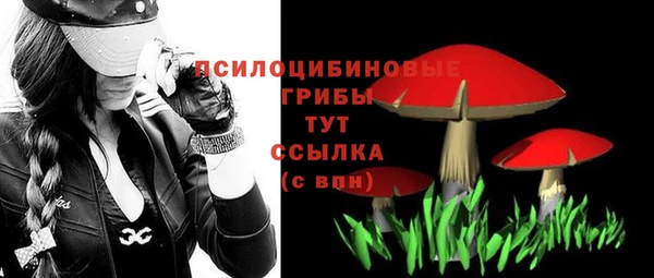 альфа пвп Горно-Алтайск