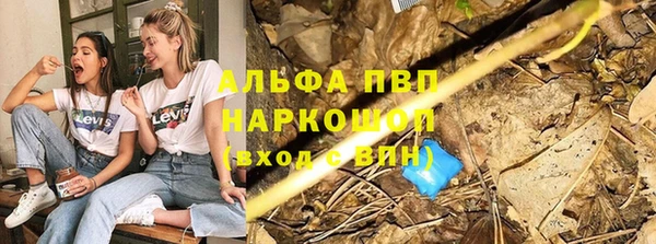 стаф Горняк