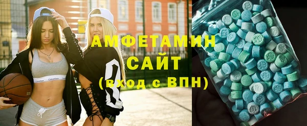 стаф Горняк