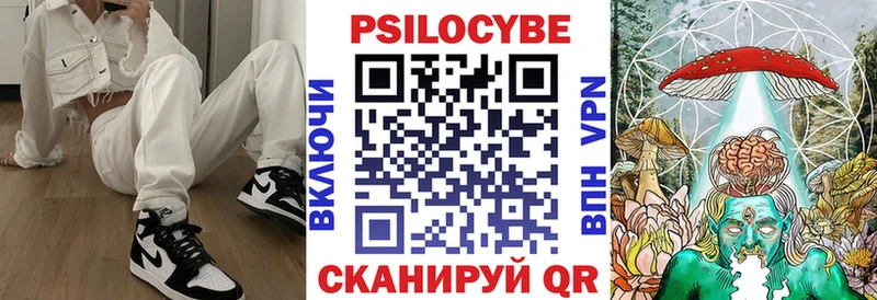 Галлюциногенные грибы Psilocybine cubensis  Купить где  Бутурлиновка 